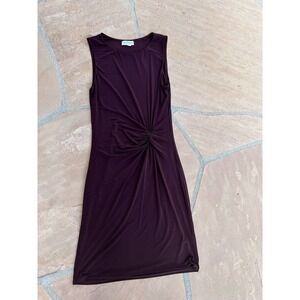 Velvet by Graham & Spencer Purple Mini Dress
